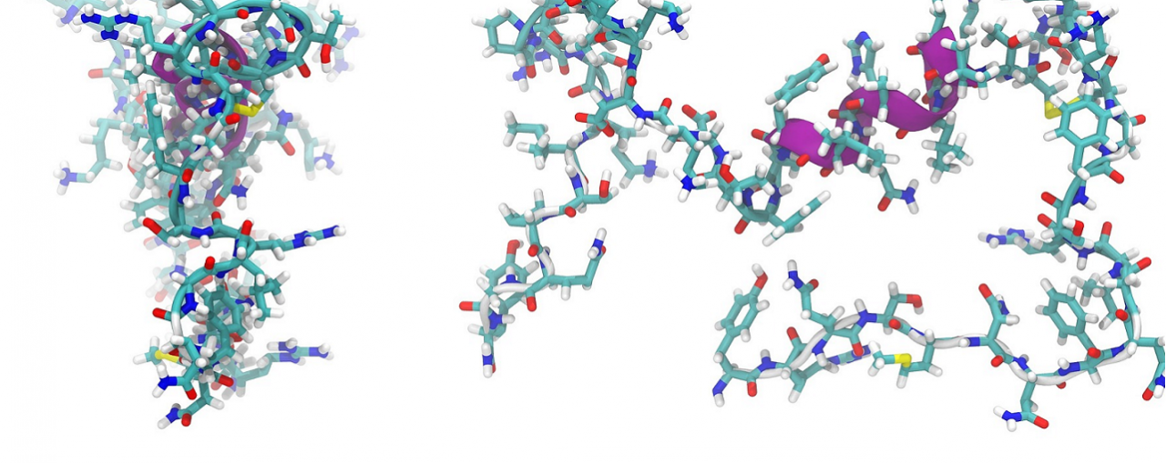 Peptidos