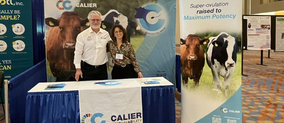 Calier-2