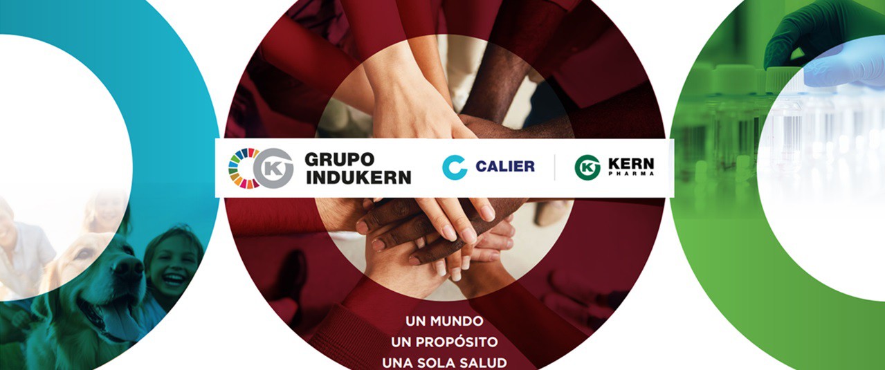 Grupo-Indukern-2