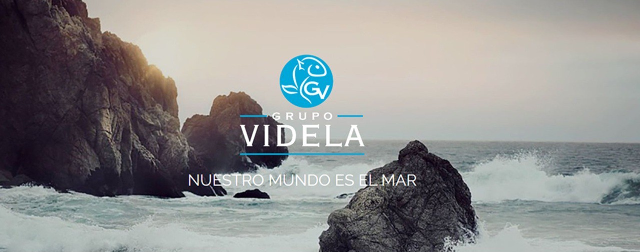 Grupo-Videla-2