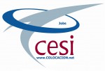 Cesi Consulting