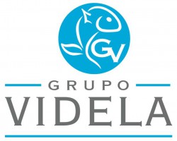 Grupo Videla